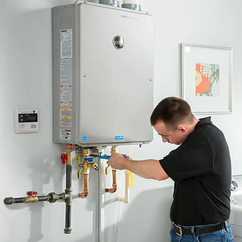 tankless water heater repair in Farmer city, IL